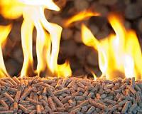Renewable energy policies drive production of southern wood pellets for bioenergy