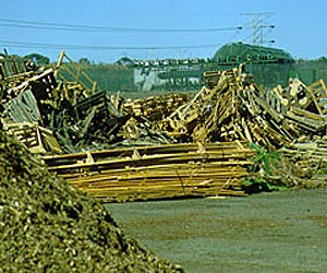 Time, place and how wood is used are factors in carbon emissions from deforestation