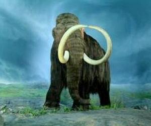 Russian boy discovers 'woolly mammoth of the century'