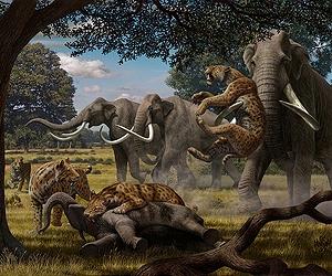 Texas A and M professor helping to unravel causes of Ice Age extinctions