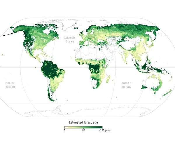 ForINT: A new platform for comprehensive forest intelligence