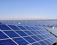 Latin America's largest solar park turns Mexican desert green