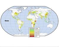 When it comes to variations in crop yield, climate has a big say