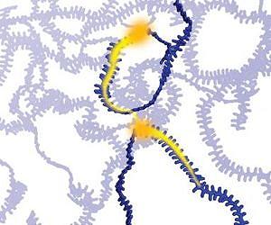 Stanford scientists publish theory, formula to improve 'plastic' semiconductors