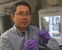 Highly elastic biodegradable hydrogel for bioprinting of new tissues