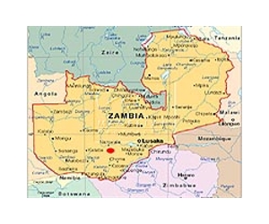 Zambia court told HIV prisoners denied drugs, proper food