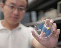 Powerful new photodetector can enable optoelectronics advances