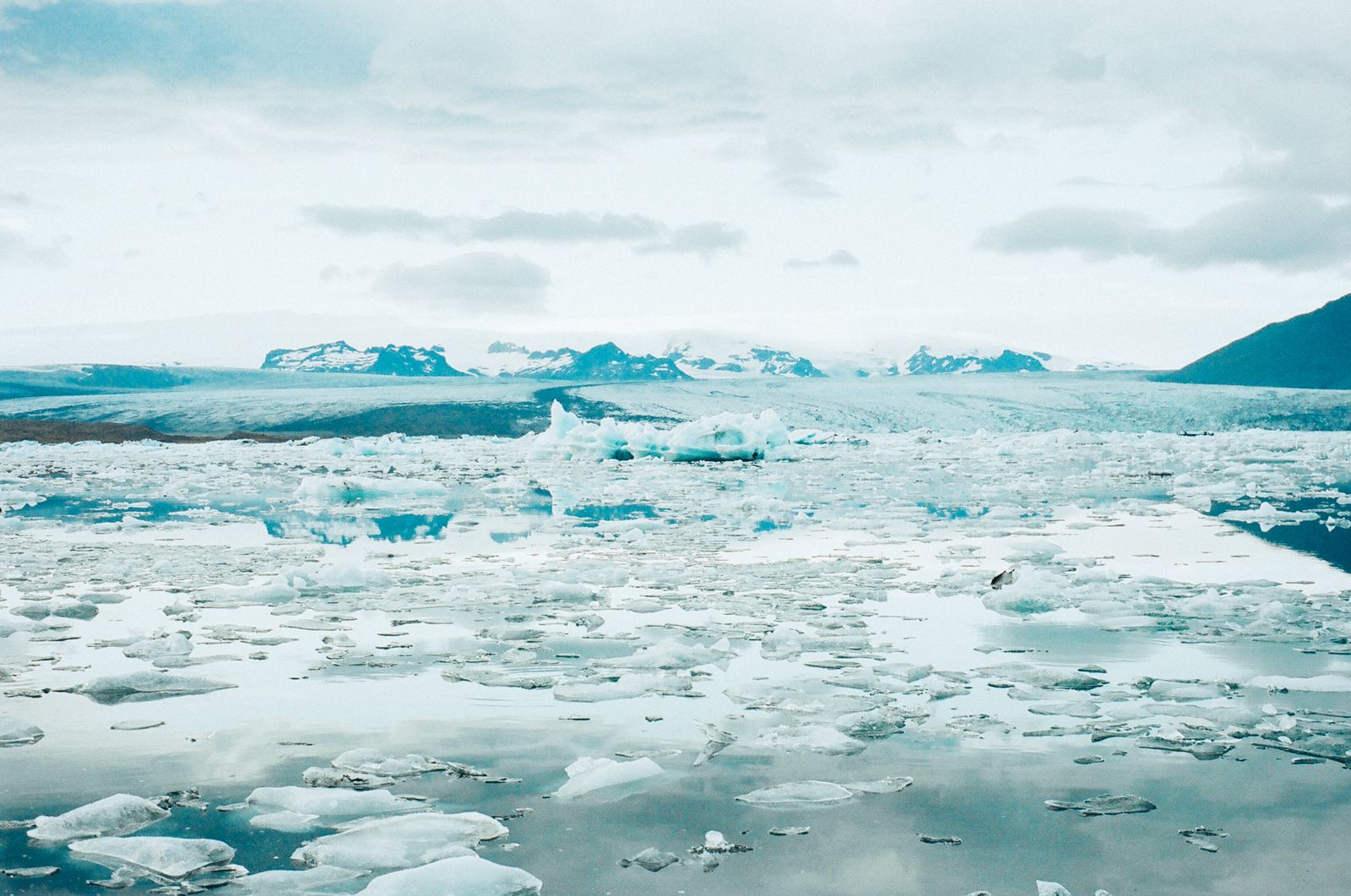 Arctic ice cap