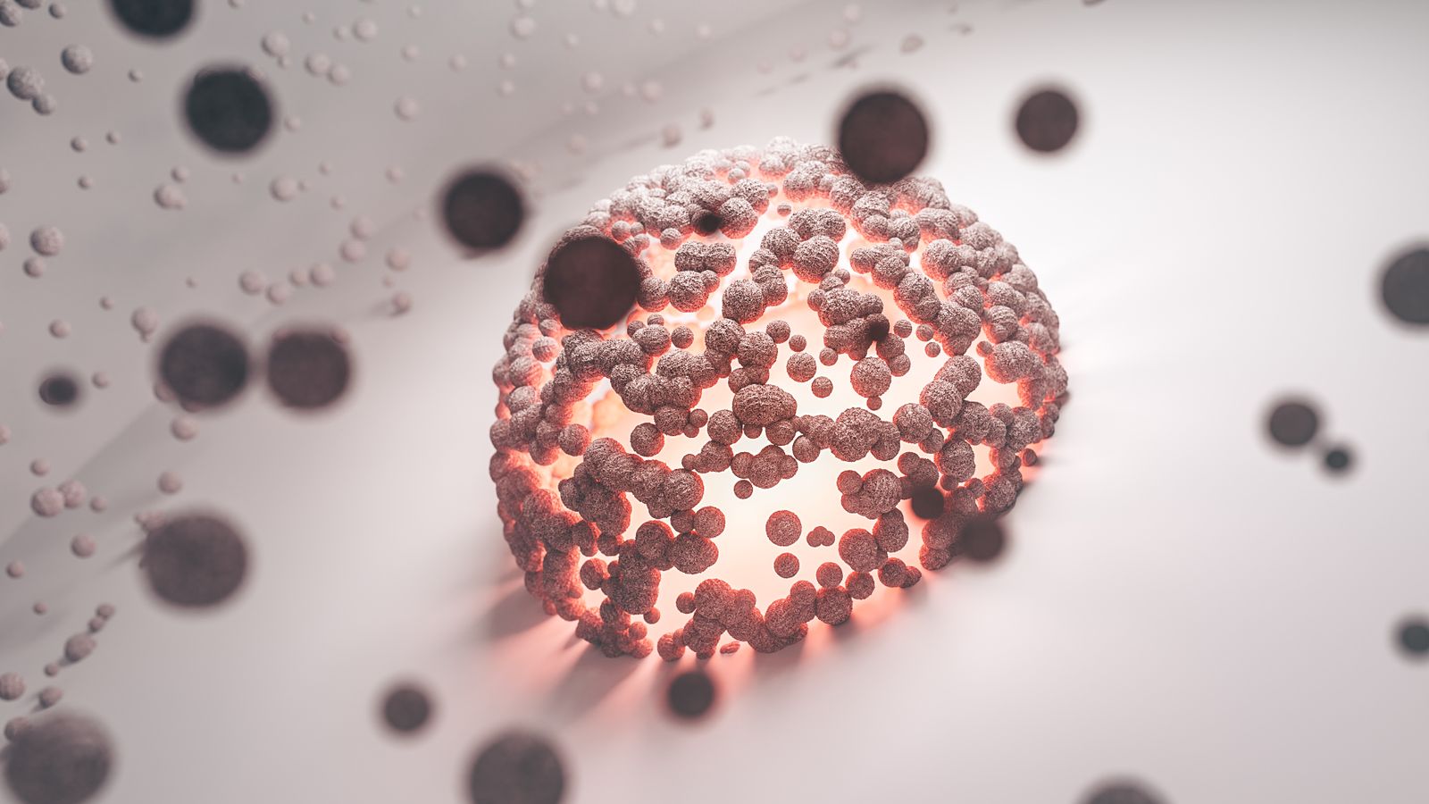 bacteriophage electron microscope