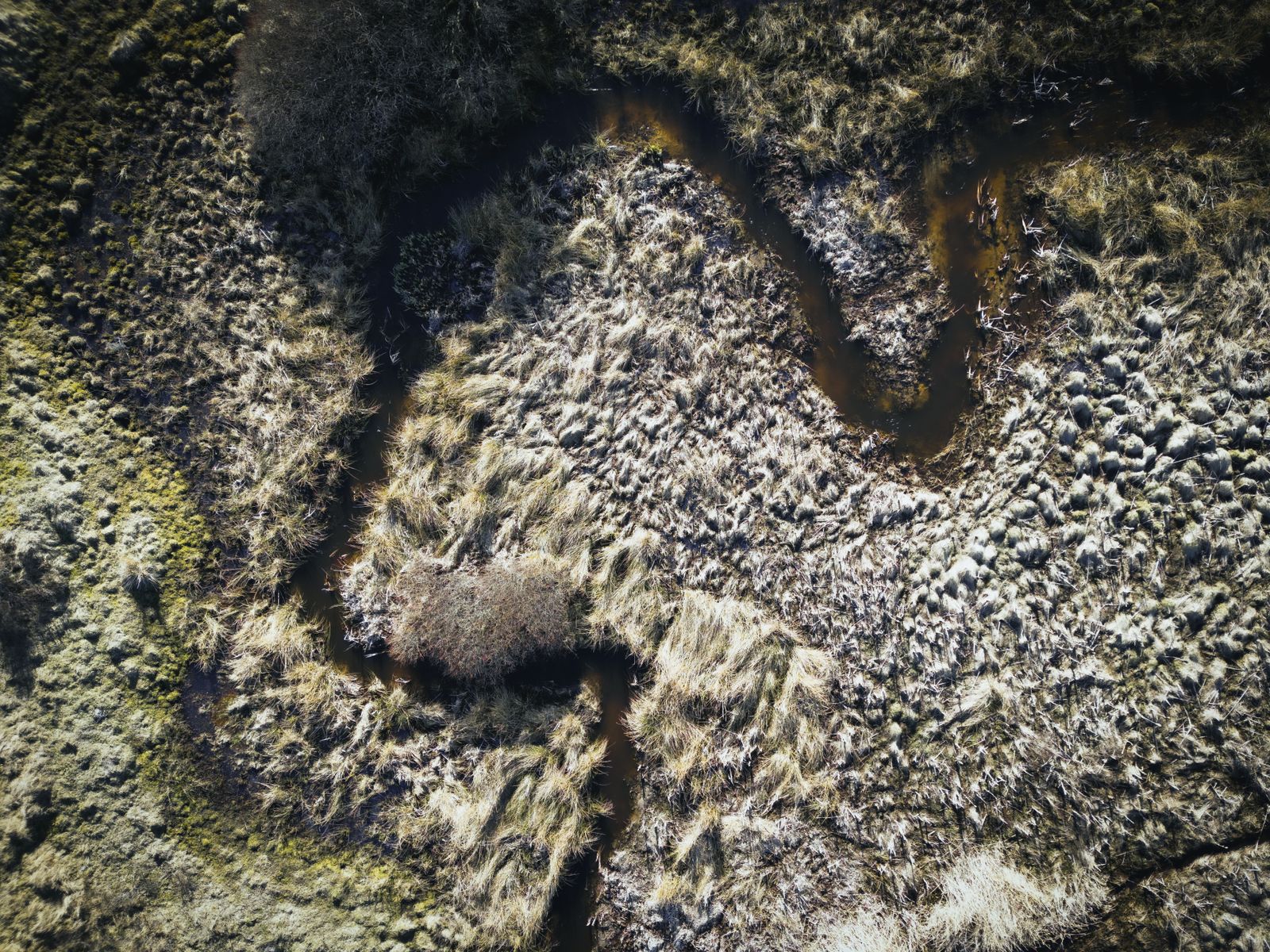 Dutch river floodplain aerial