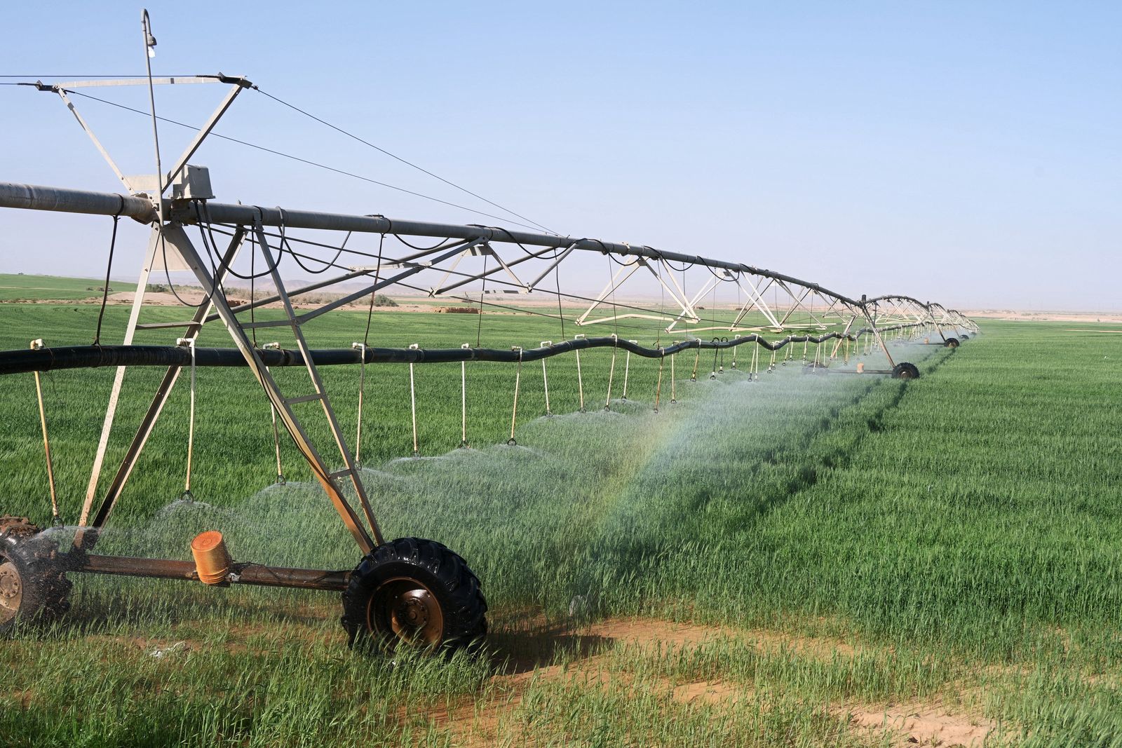 How did a desert nation with almost no freshwater rivers grow its agricultural output more than tenfold while cutting the water used to produce each crop, mostly by rethinking a black plastic tube?