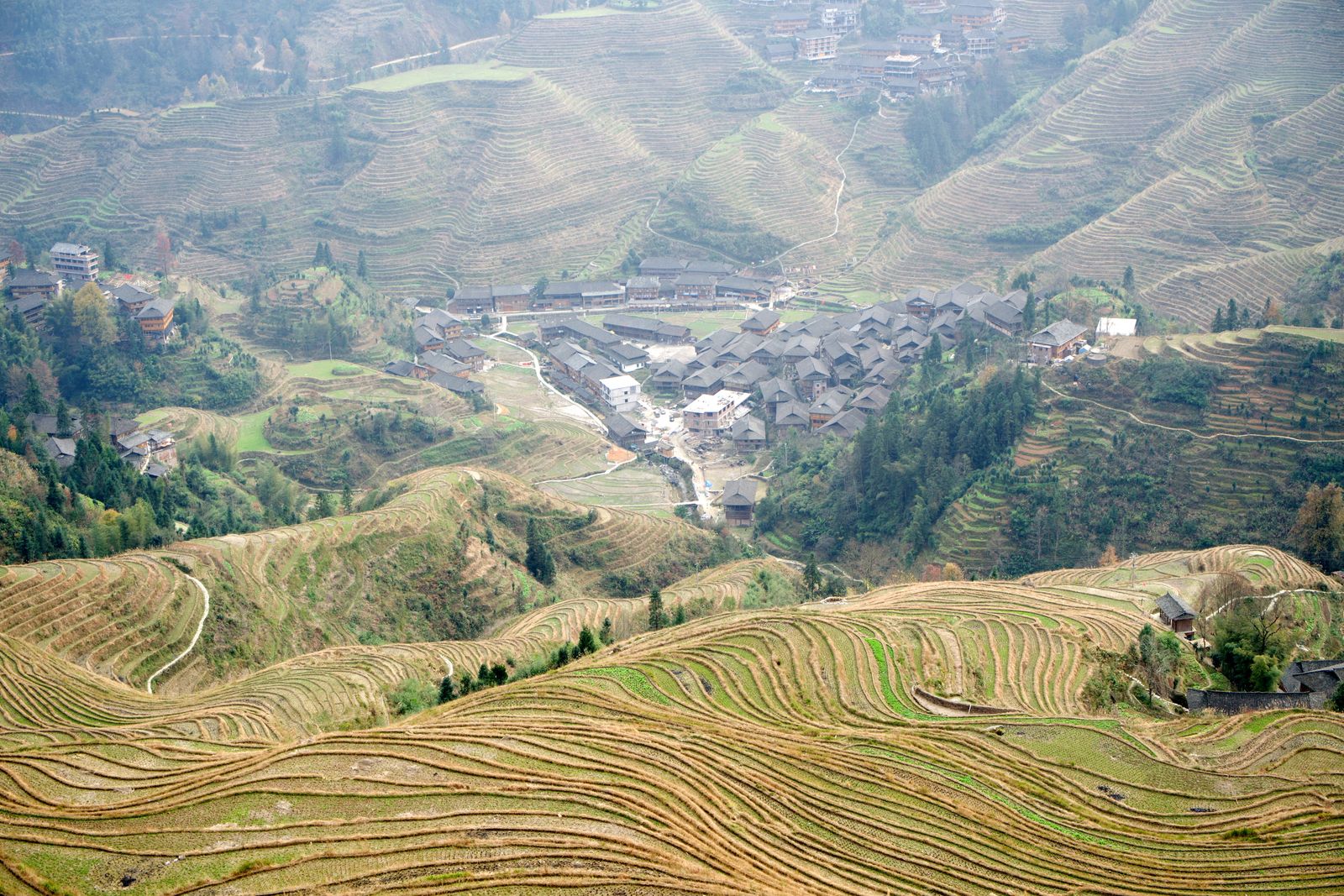 Loess Plateau terraces China