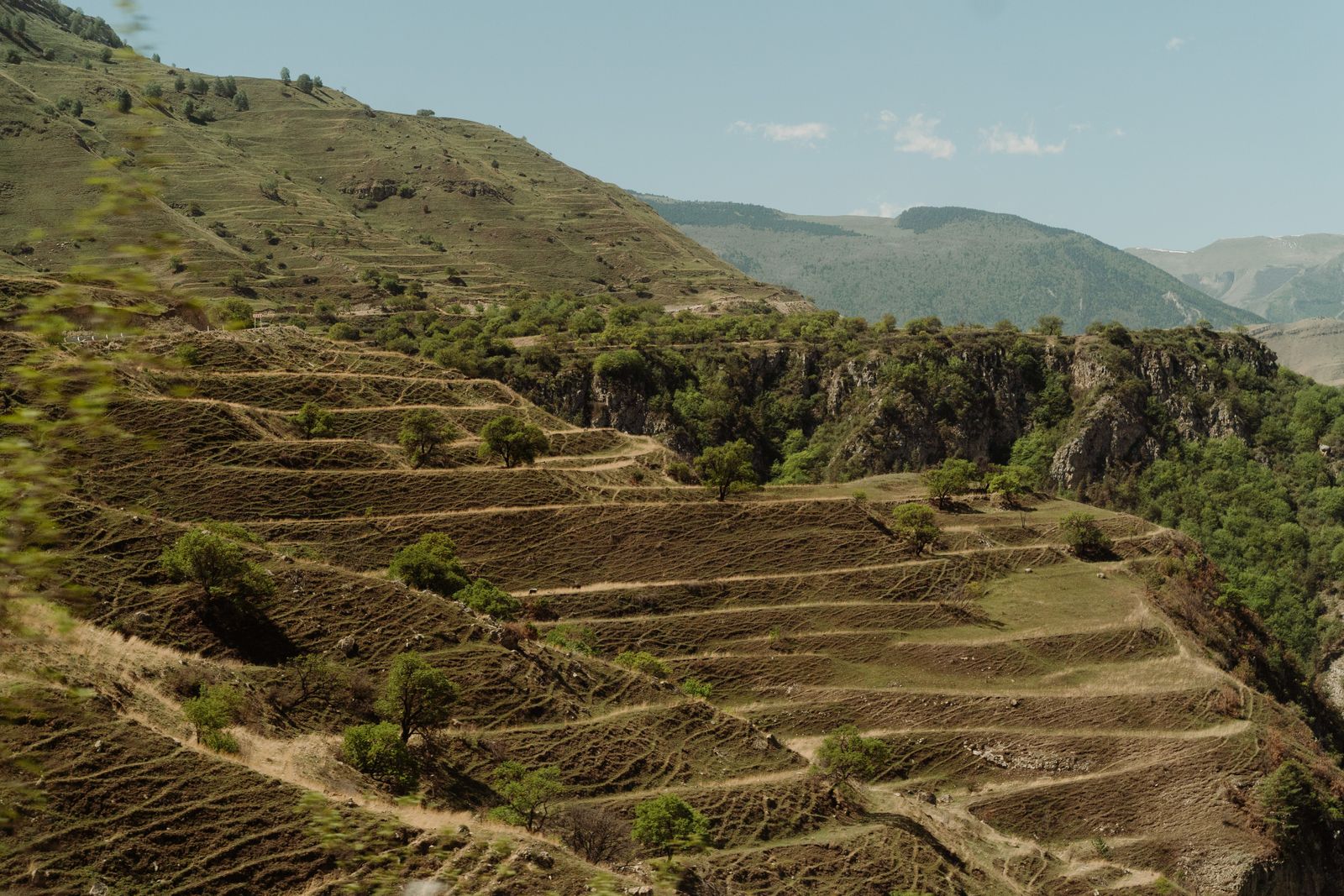 What happened when engineers terraced a 640,000 square kilometre plateau whose yellow silt had been choking the world's muddiest river for millennia, and the sediment load fell by nearly 90 percent within two decades?