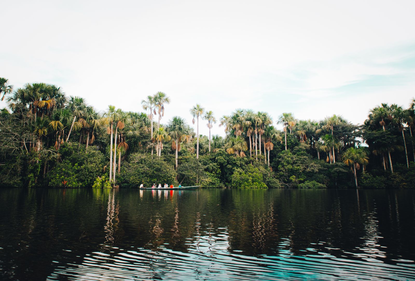 Amazon oil pipeline jungle