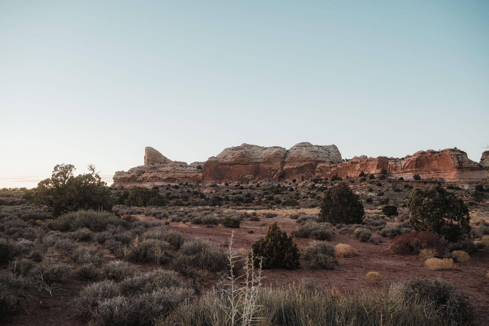How did a 586-square-mile stretch of southeastern Washington sealed off in 1943 to make plutonium end up sheltering one of the last large blocks of shrub-steppe left in the Columbia Basin?
