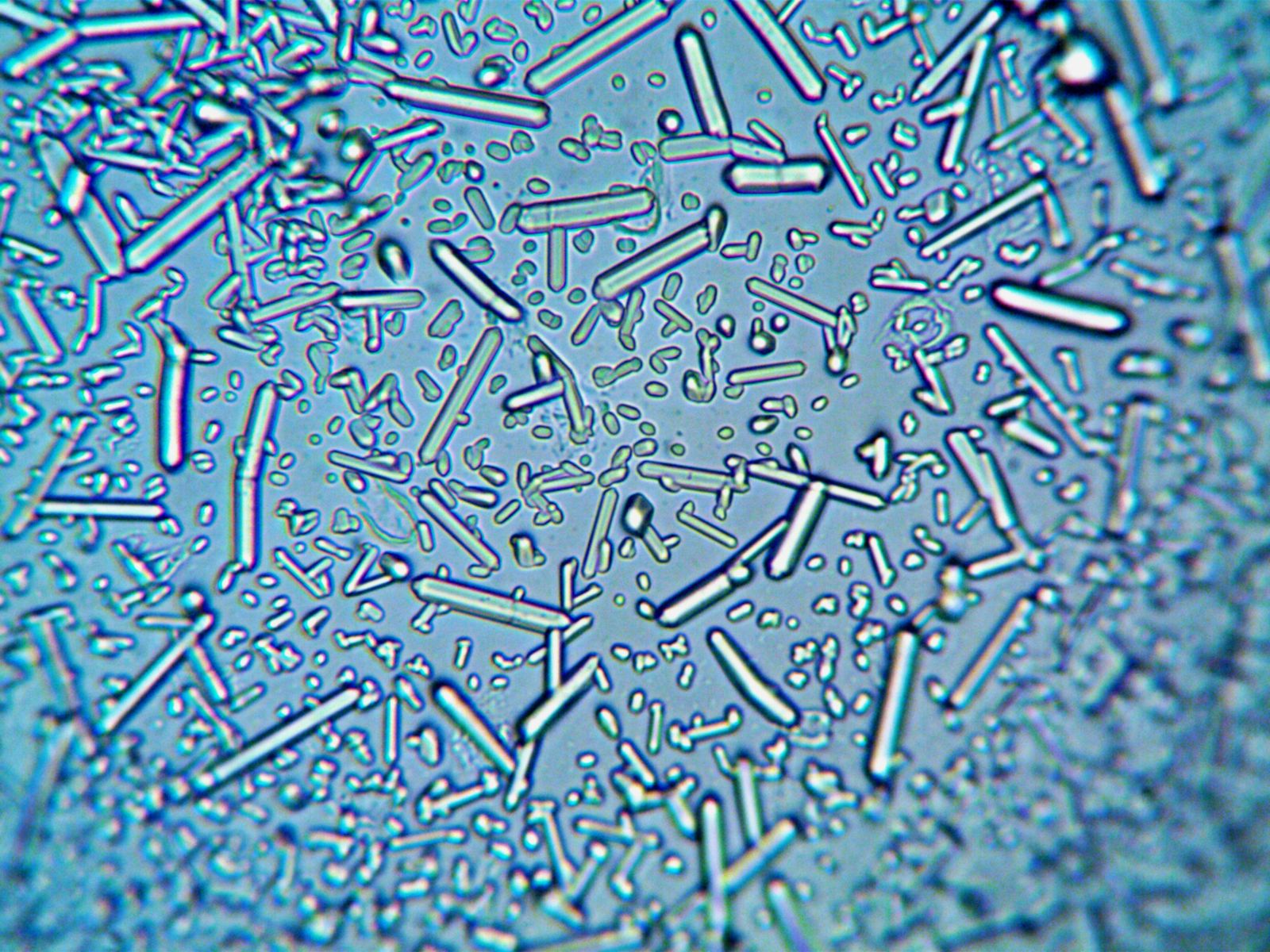 Photo 51 diffraction
