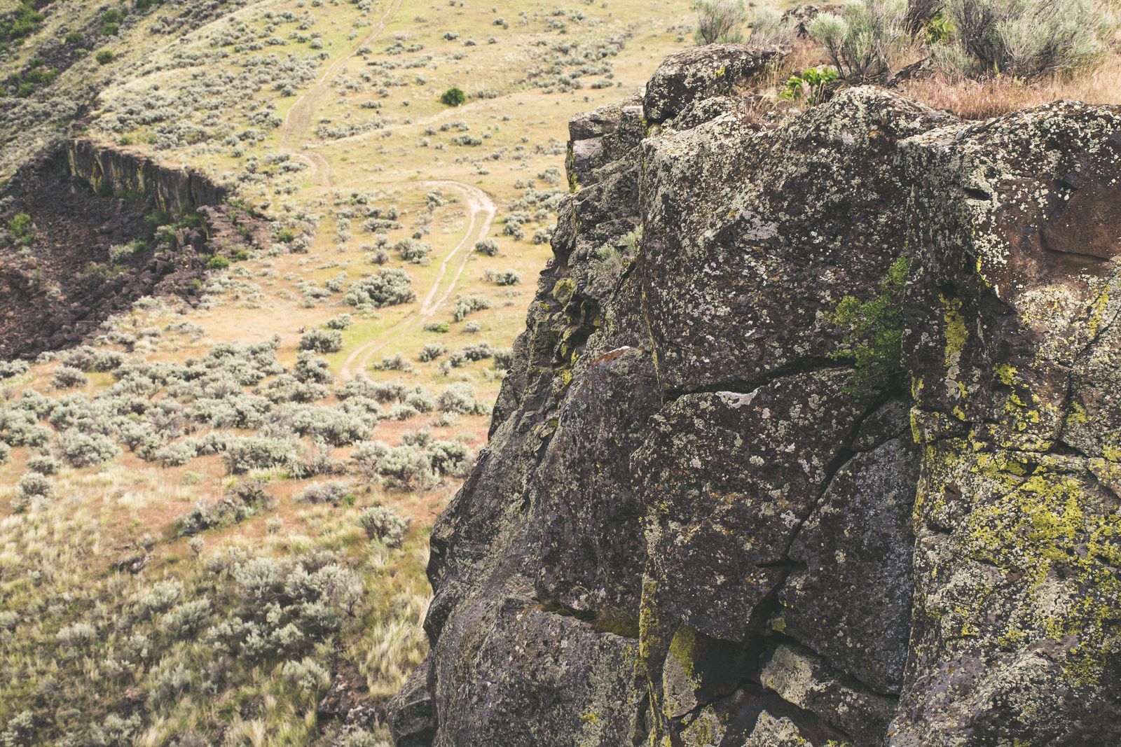 sagebrush Columbia River bluffs
