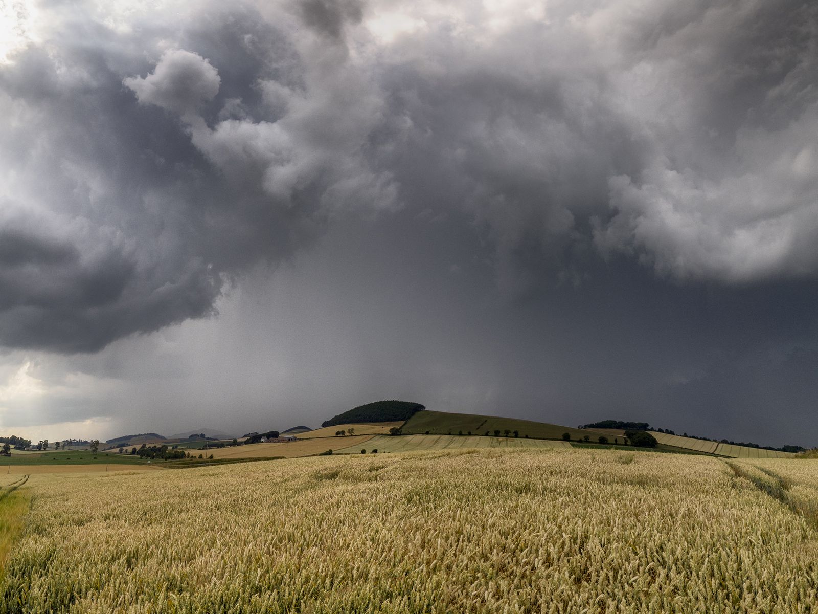 What happened when a Great Plains dust storm in 1935 blackened the sky over Washington DC on the very day a soil scientist was testifying to Congress about erosion?