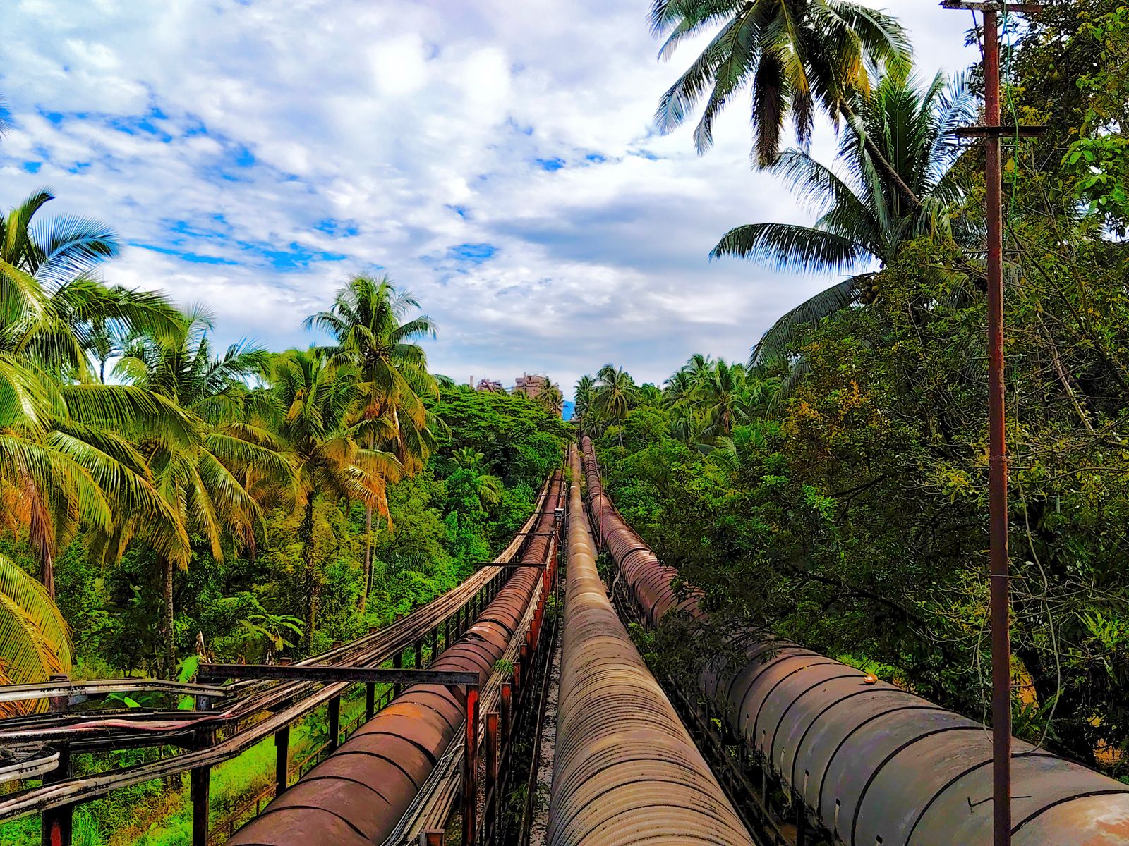 Why did a small Andean nation with a Pacific coastline write the rights of nature into its constitution while still permitting oil drilling under one of the most biodiverse rainforests on the planet?