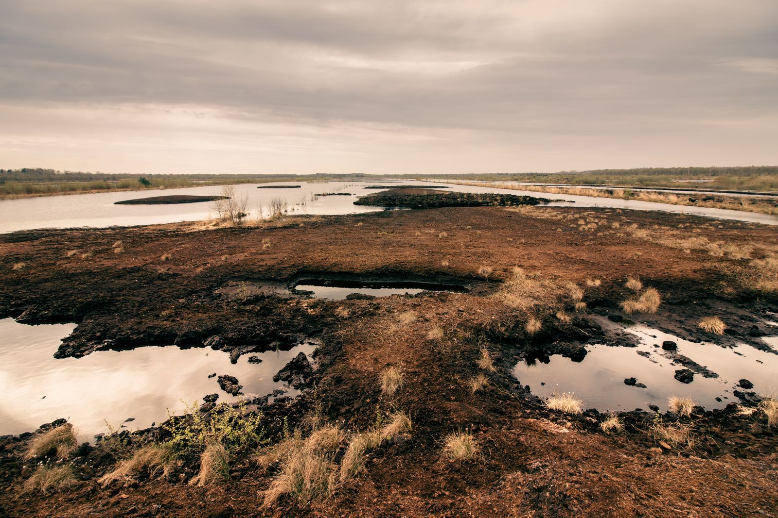 Why does draining a waterlogged carbon-rich soil for oil palm or pasture release more greenhouse gas per hectare than clearing the rainforest that grew on top of it?
