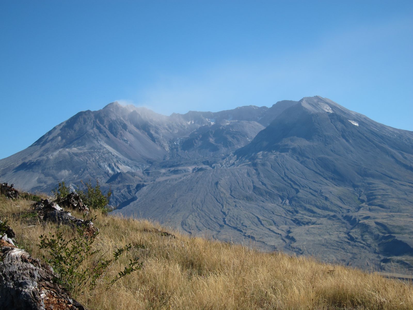 In 1980, Mount St. Helens in Washington devastated 230 square miles of forest and buried the North Fork Toutle valley in debris, and ecologists tracking the blast zone since have watched pocket gophers, lupines and returning elk shape recovery across areas left to natural succession
