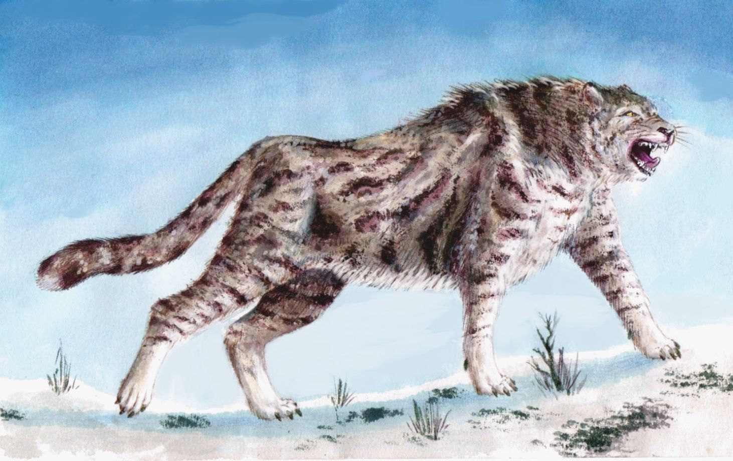 Ancient DNA shows the extinct American cheetah Miracinonyx, long cast as a pronghorn chaser, left Yukon fossils about 31,000 to 34,000 years old from cats that ranged far into the Arctic and ate fish
