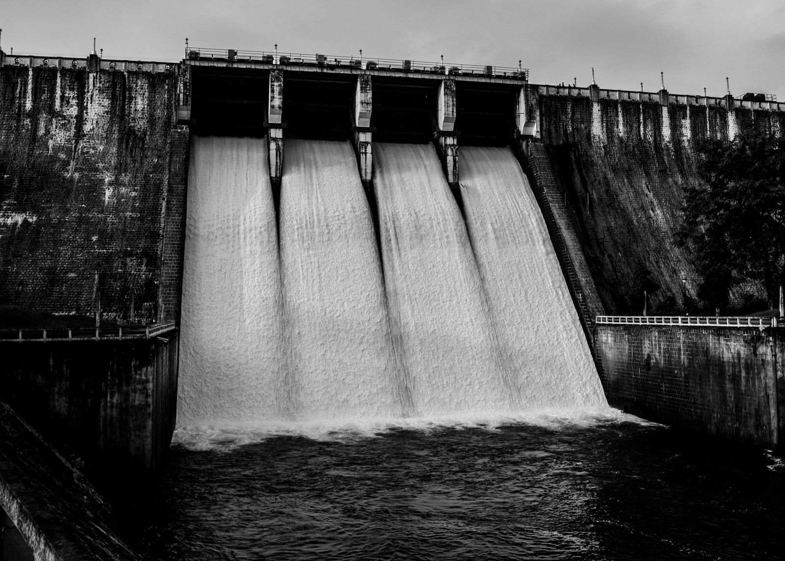 Morelos Dam pulse flow