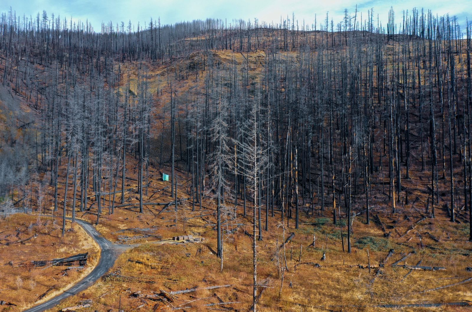 Mount St Helens blast zone recovery