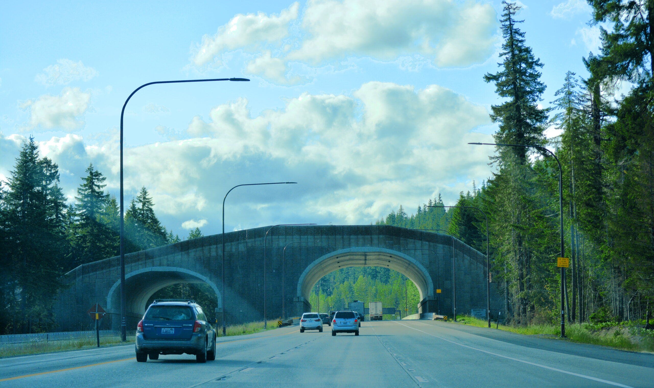 In 2014 cameras began counting animals on I-90's Snoqualmie Pass East crossings; by July 2026 the overcrossing alone logged its 10,000th crossing, with nearly 40,000 across all 12 structures